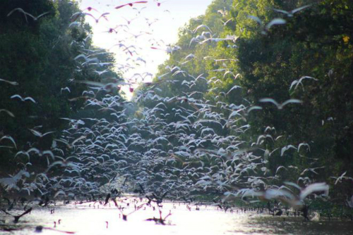 Du Lịch Cần Thơ