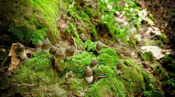 Du Lịch Cần Thơ